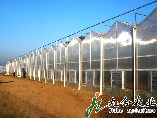 河南三門峽緣分果業生態園（pc板智能溫室）